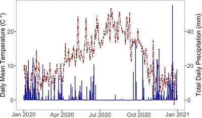 Applying Plant Hydraulic Physiology Methods to Investigate Desiccation During Prolonged Cold Storage of Horticultural Trees